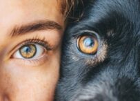 grammatica_animale